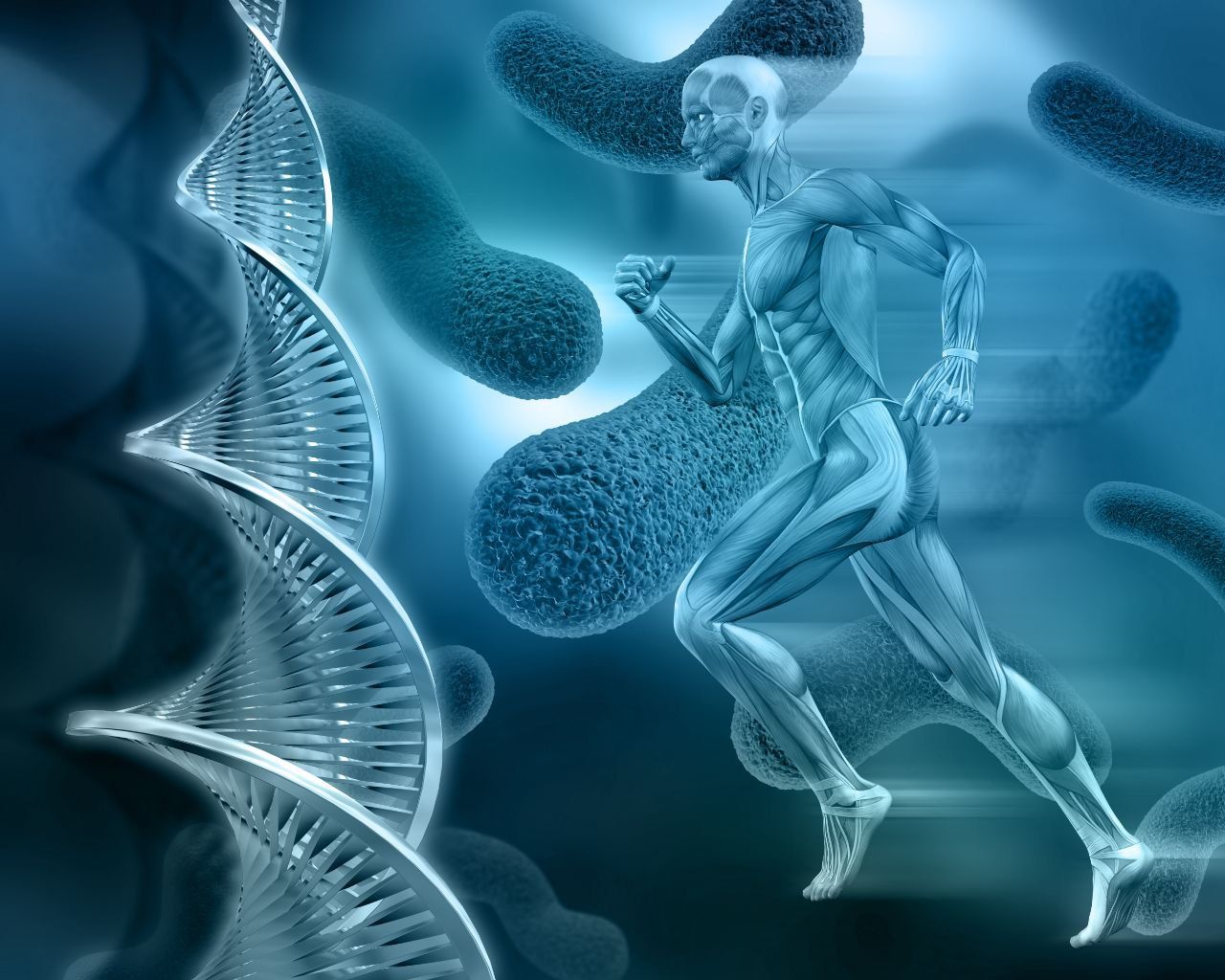 Representación de mitocondrias, orgánulos celulares fundamentales para activar la producción de energía y optimizar la salud.